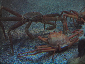 20110529_723shuusei.jpg