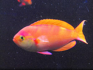 20110529_739shuusei.jpg