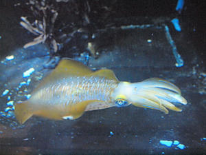 20110529_756shuusei.jpg