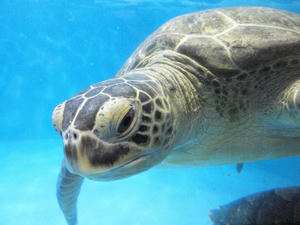 20110529_852shuusei.jpg