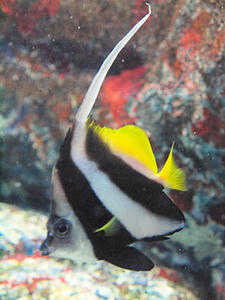 20110529_780shuusei.jpg