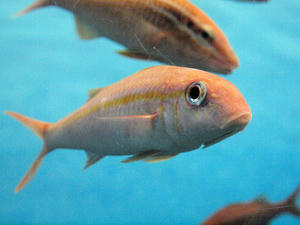20110529_809shuusei.jpg