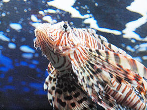 20110529_818shuusei.jpg