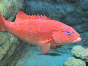 20110529_830shuusei.jpg