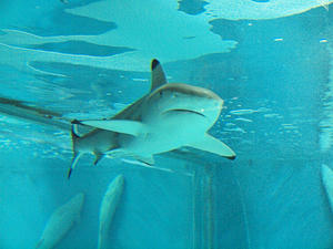 20110529_896shuusei.jpg