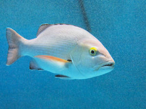 20110529_898shuusei.jpg
