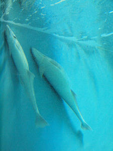 20110529_899shuusei.jpg