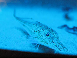20110529_901shuusei.jpg