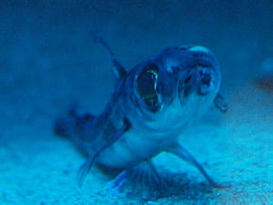 20110529_903shuusei.jpg