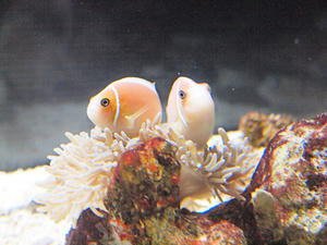20110529_911shuusei.jpg