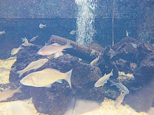 20110529_941shuusei.jpg