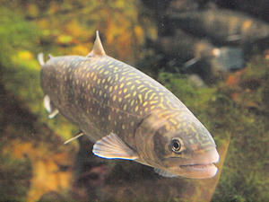 20110529_967shuusei.jpg