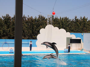 20110529_972shuusei.jpg