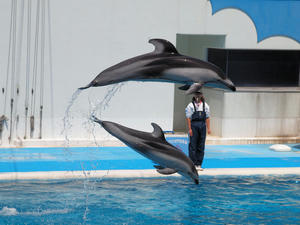 20110529_974shuusei.jpg