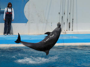 20110529_978shuusei.jpg