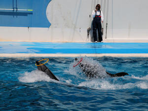 20110529_985shuusei.jpg