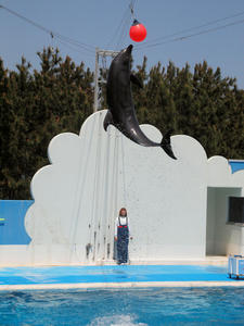 20110529_998shuusei.jpg