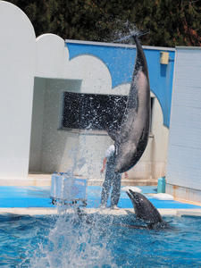 20110529_1017shuusei.jpg