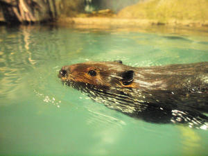 20110529_1058shuusei.jpg