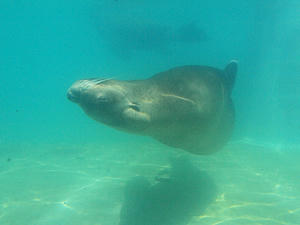 20110529_1120shuusei.jpg