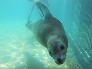 20110529_1147shuusei.jpg