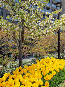 20110529_1167shuusei.jpg
