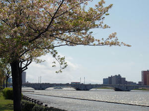 20110529_1194shuusei.jpg