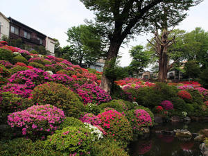 20110501_480shuusei.jpg