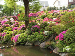 20110501_494shuusei.jpg