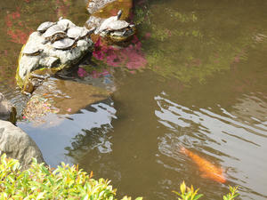 20110501_495shuusei.jpg