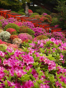 20110501_512shuusei.jpg