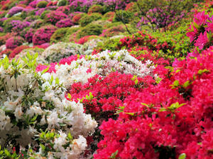 20110501_521shuusei.jpg