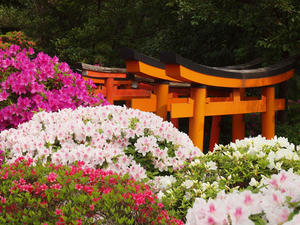 20110501_529shuusei.jpg