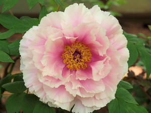 20110501_603shuusei.jpg