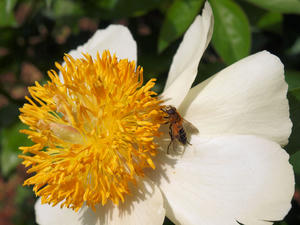 20110501_642shuusei.jpg