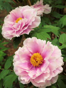 20110501_678shuusei.jpg