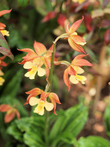 20110501_690shuusei.jpg