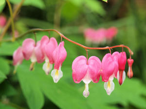 20110501_699shuusei.jpg
