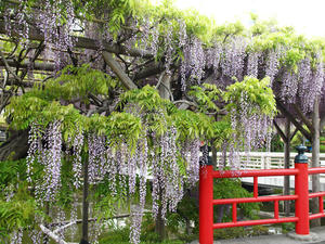 20110529_1212shuusei.jpg