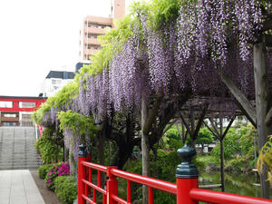 20110529_1216shuusei.jpg