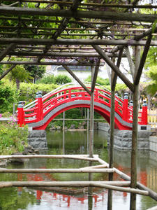 20110529_1223shuusei.jpg