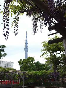 20110529_1228shuusei.jpg