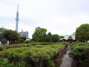 20110529_1230shuusei.jpg