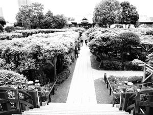 20110529_1234shuusei.jpg
