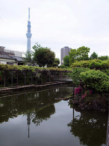 20110529_1238shuusei.jpg
