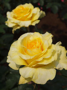 20110529_1281shuusei.jpg