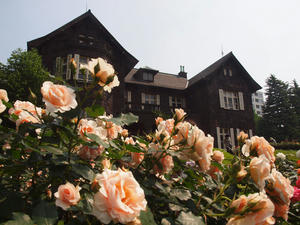 20110529_1249shuusei.jpg