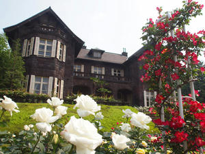 20110529_1265shuusei.jpg