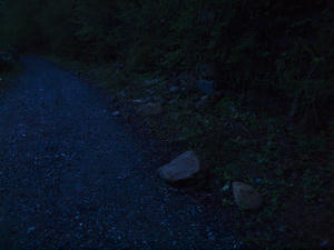 20110614_6shuusei.jpg