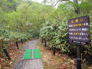 20110614_13shuusei.jpg